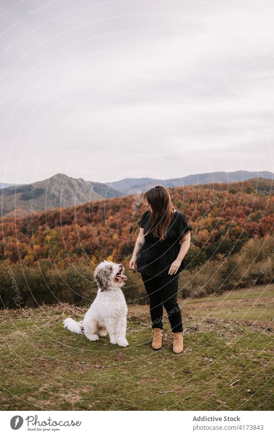 Frau geht mit Hund in den Bergen spazieren Berge u. Gebirge Zusammensein Spaziergang schlendern Hochland genießen spanischer Wasserhund Natur Hügel sorgenfrei