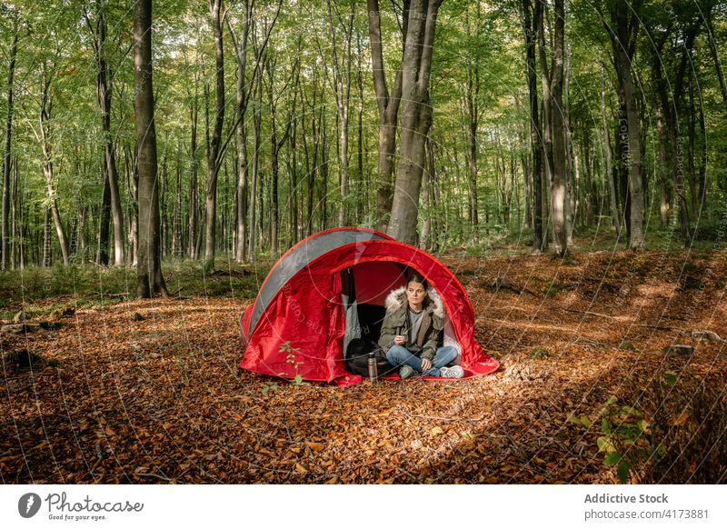 Reisende Frau entspannt sich in der Nähe des Campingzelts im Wald Lager Zelt Campingplatz Abenteuer Thermoskanne trinken heiß warm Wälder Natur Tee ruhen