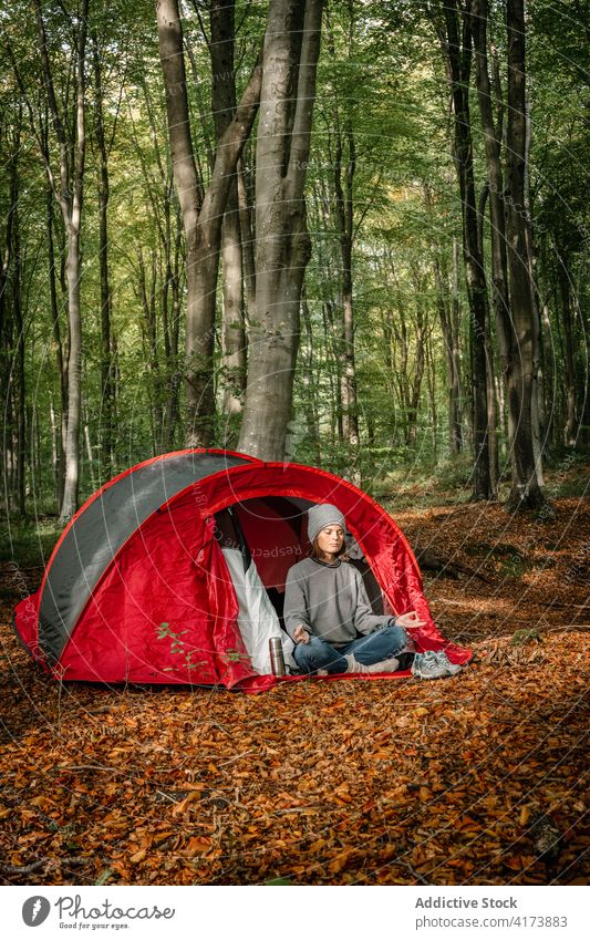 Frau meditiert in der Nähe eines Zeltes im Wald Lager meditieren Yoga Wälder sich[Akk] entspannen Lotus-Pose Reisender Zen Gelassenheit Sprit Augen geschlossen