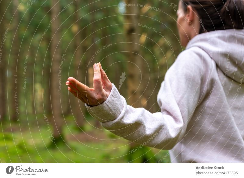 Ruhige Frau macht Yoga im Wald meditieren Reisender Wälder Natur Lotus-Pose padmasana ruhig Augen geschlossen sich[Akk] entspannen Wellness Asana Harmonie