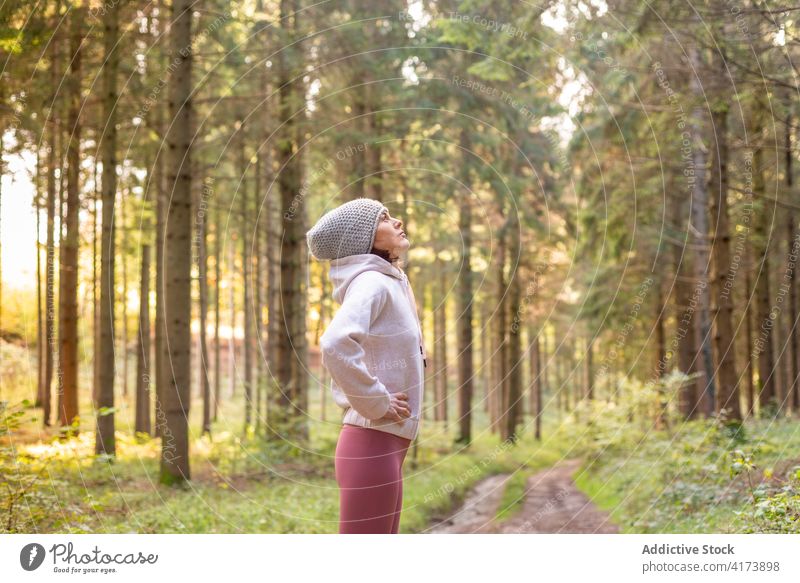 Ruhige Frau genießt den Morgen im Wald genießen Freiheit Reisender erkunden ruhig Fernweh Abenteuer Wälder früh Sonnenlicht Sonnenaufgang Morgendämmerung Natur