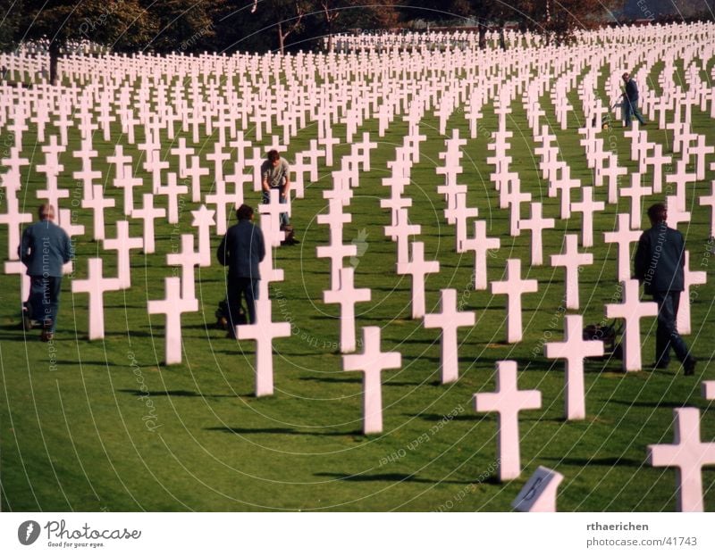 Dead or Alive Krieg Grab Soldatenfriedhof erinnern Leben historisch