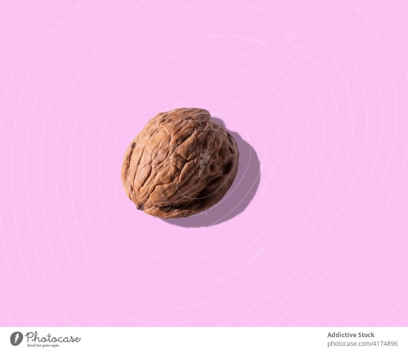 Von oben brauner Nussbaum auf rosa Hintergrund im Atelier Walnussholz Lebensmittel Nut frisch lecker Gesundheit natürlich geschmackvoll gesunde Ernährung
