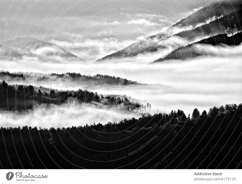 Minimalistische Schwarz-Weiß-Fotografie des Nebels am Morgen Berge u. Gebirge Landschaft Frühling reisen Blatt Herbst Wald Buchsbaum Natur fallen Weg Ast