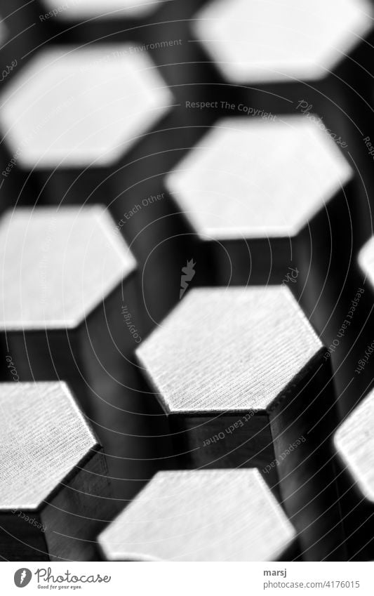 Hexagon-Säulen in regelmäßigen Abständen Wabenstruktur sechseckig geometrisch klar strukturiert regelmässig fein abstrakt Struktur Muster modern Oberfläche