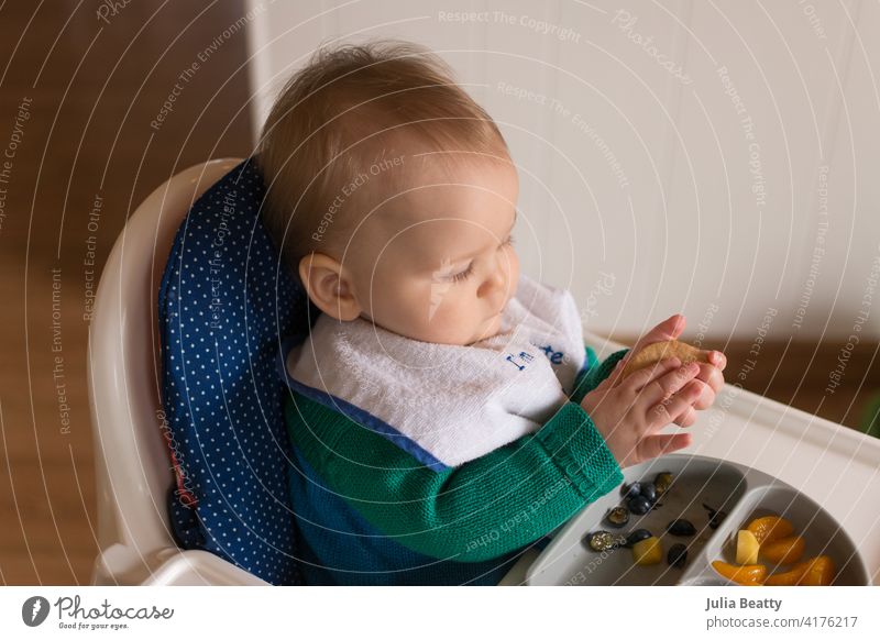 Kleinkind isst Fingerfood, während es im Hochstuhl sitzt; babygeführte Entwöhnung Zange palmar Baby Säugling Kind 6 Monate alt feste Nahrung Cracker Biskuit