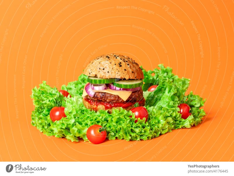 Hausgemachter veganer Burger mit Soja-Patty und veganem Käse. alternativ Hintergrund Brot Frühstück Brötchen Cashew-Käse Cheeseburger Farbe Textfreiraum kreativ