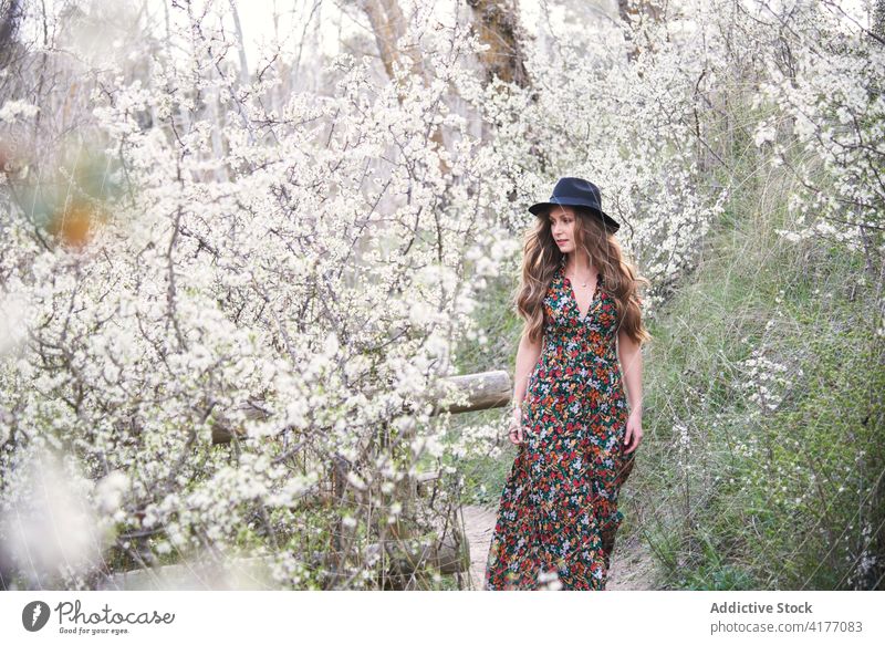 Frau geht im Frühlingsgarten spazieren Blütezeit Garten Spaziergang Park Blume Baum Natur Buchse sanft romantisch Angebot Kleid jung Flora Pflanze Harmonie