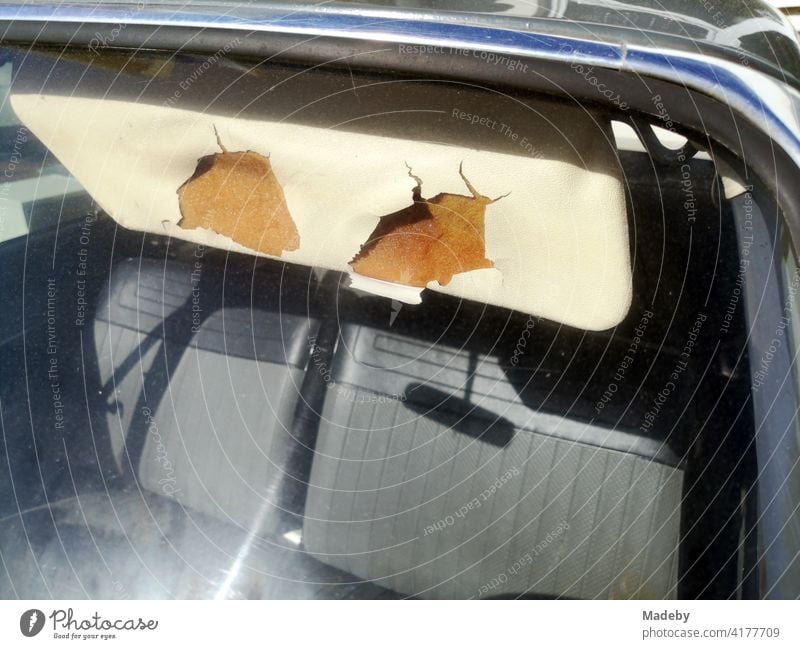 Zerbröselter Kunststoff einer Sonnenblende mit Füllung aus Schaumstoff eines Auto der Sechziger Jahre in Wettenberg Krofdorf-Gleiberg bei Gießen in Hessen