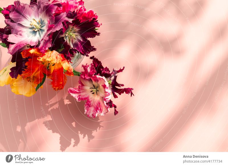 Strauß Papagei Stil Tulpen Blume Papageien-Tulpe Blumenstrauß Vase starke Schatten Blumenkollektionen Frühlingsblüte frisch präsentieren Geschenk Anlass