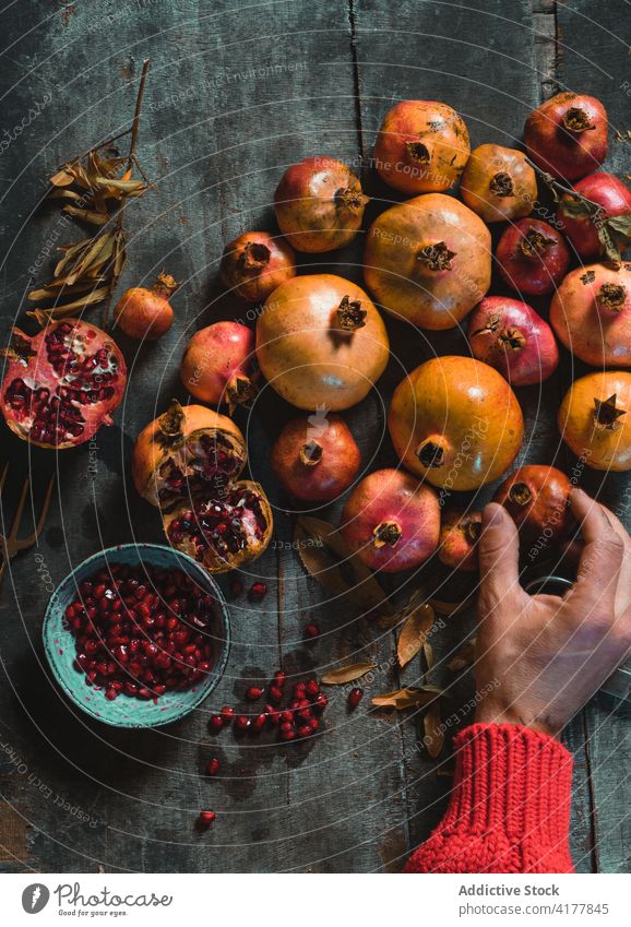 Anonyme Person arrangiert reife Granatäpfel auf dem Tisch Granatapfel einrichten Frucht Haufen Ernte lecker rustikal dunkel Raum Vitamin Lebensmittel roh
