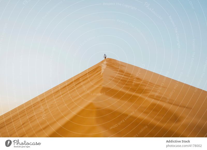 Reisende, die im Sommer durch eine Sandwüste spazieren Düne Reisender Spaziergang Tourist schlendern Landschaft Marokko Afrika einsam wolkenlos Blauer Himmel