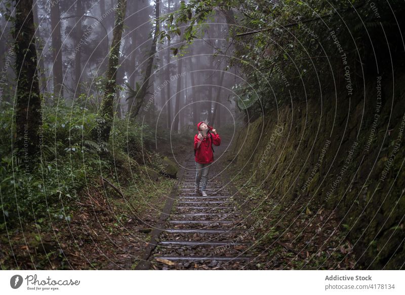 Junge ethnische Frau beim Wandern im Wald bei regnerischem Wetter Wanderung Regen Natur erkunden Reisender Treppenhaus Aktivität jung asiatisch Abenteuer