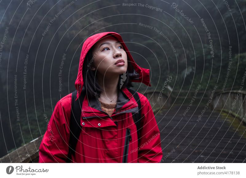Ethnischer Reisender steht auf einem Steg und erkundet den Wald Frau erkunden Wanderung Natur Regen Aktivität Backpacker jung asiatisch ethnisch Abenteuer
