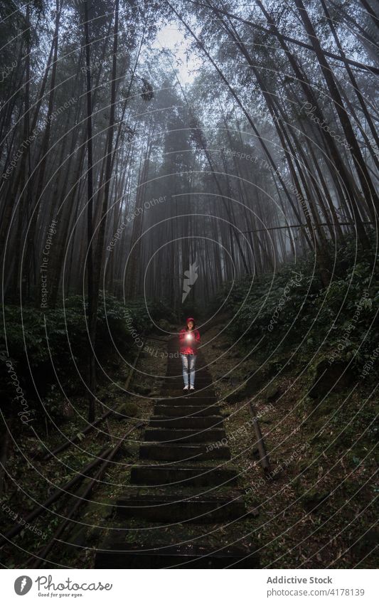Unbekannter Reisender mit Taschenlampe erkundet nebligen Wald Wanderer Nebel Regen Treppenhaus Natur trist erkunden Aktivität Wanderung Abenteuer Lifestyle