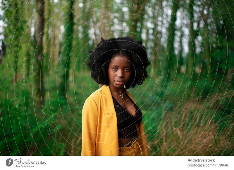 Stilvolle schwarze Frau im grünen Wald stehend Farbe gelb hell trendy Afro-Look Natur krause Haare ethnisch Afroamerikaner jung Vorschein selbstbewusst Mode