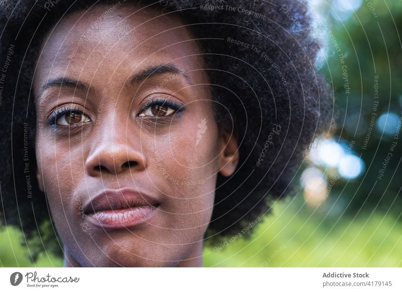 Ernste ethnische Frau schaut in die Kamera Afro-Look Frisur Porträt charmant Vorschein Schönheit natürlich schwarz Afroamerikaner charismatisch Dame herzlich