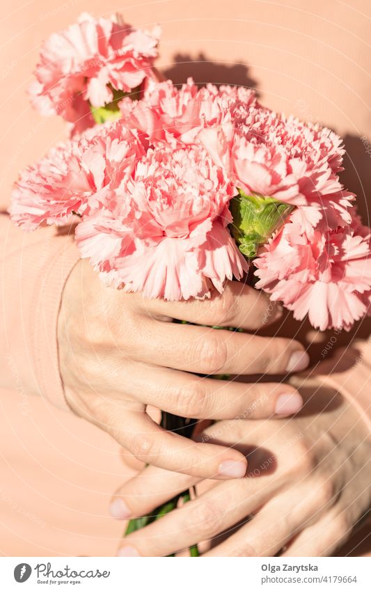 Frauenhände halten einen Strauß Nelken. Blume rosa Hand Beteiligung weiß Pastell Feiertag präsentieren Muttertag Blumenstrauß Haufen abschließen Mittelteil