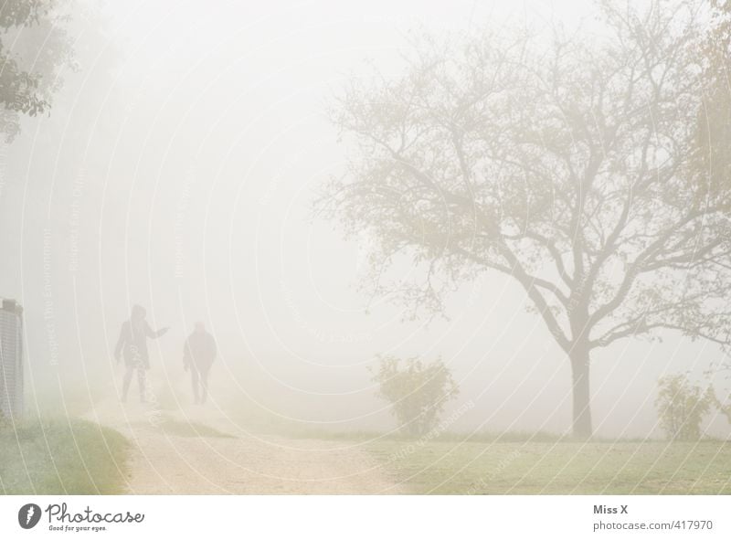 Streit im Nebel Freundschaft Paar Partner 2 Mensch Wetter schlechtes Wetter Unwetter Regen Baum Garten Park Wege & Pfade gehen Kommunizieren laufen dunkel nass
