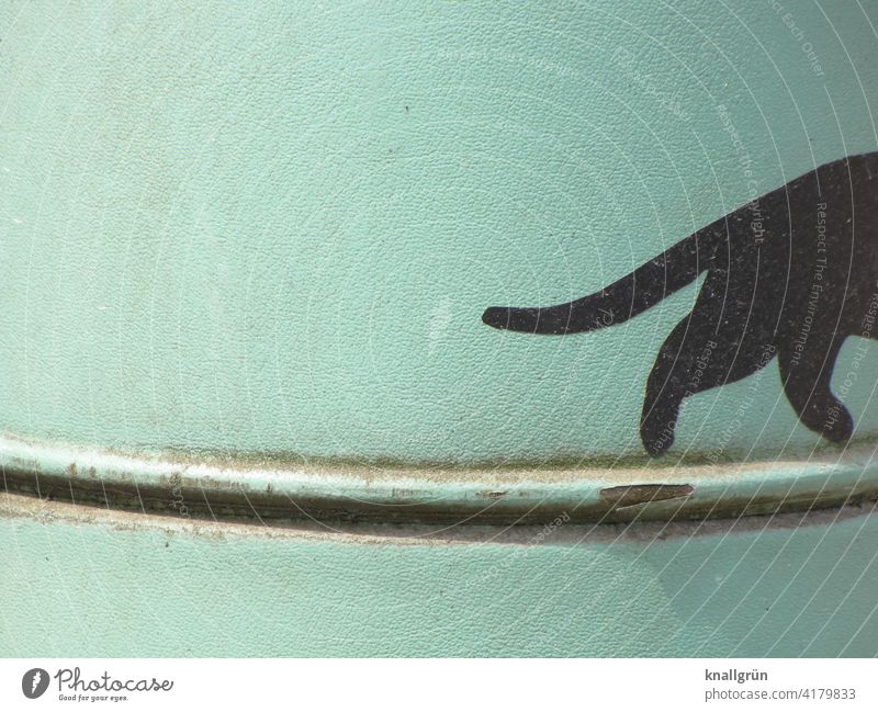 Schwarze Katze die verschwindet Graffiti balancieren Außenaufnahme Farbfoto Kunst Straßenkunst Fassade Wand Mauer Menschenleer Subkultur Jugendkultur