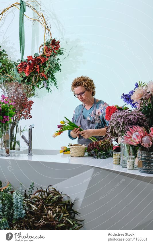 Florist erstellt Blumenstrauß im Salon Blumenhändler Frau Werkstatt Tulpe Haufen farbenfroh frisch Windstille Blütezeit Schürze Beruf Flora Verkäuferin
