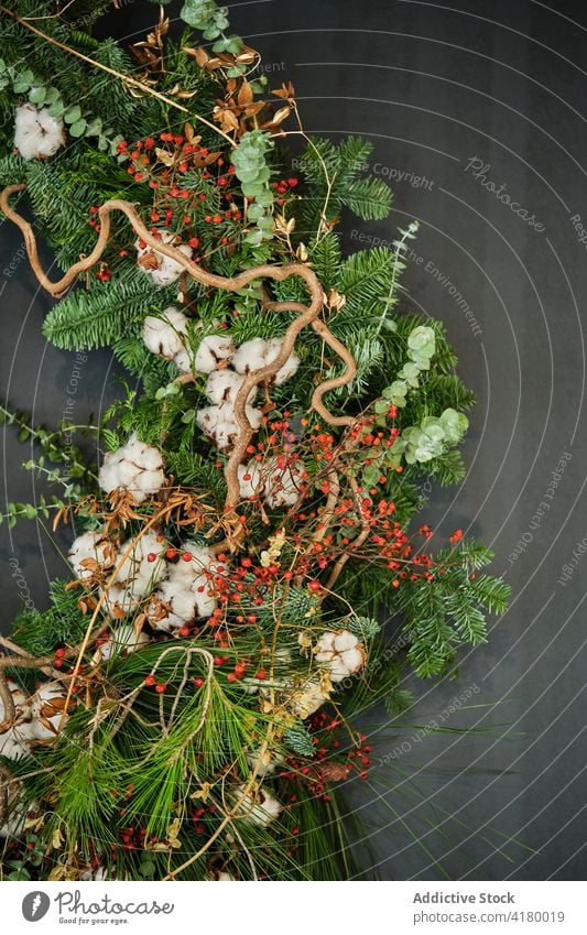 Kreativer Weihnachtskranz und Pflanzen in moderner Wohnung Weihnachten Totenkranz Wand heimwärts grün Feiertag Dekoration & Verzierung dekorativ natürlich