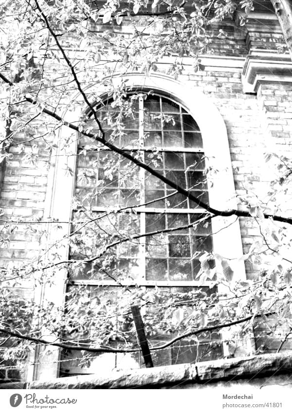 Window Fenster Nostalgie Licht & Schatten unheimlich Kirchenfenster Gotteshäuser Religion & Glaube Schwarzweißfoto