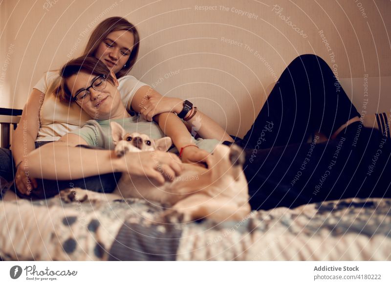 Liebendes lesbisches Paar entspannt sich mit Hund auf dem Bett Frauen sich[Akk] entspannen Angebot lgbt Wochenende niedlich Inhalt Partnerschaft Freundin