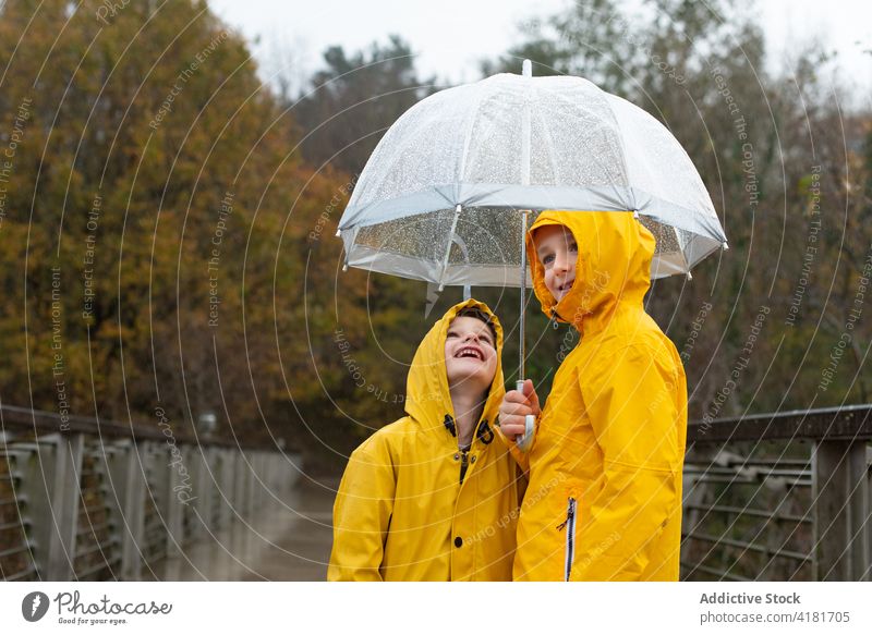 Fröhliche Kinder in gelben Regenmänteln an einem regnerischen Tag Regenmantel Herbst heiter Zusammensein Geschwisterkind Regenschirm fallen Brücke Wetter Freude