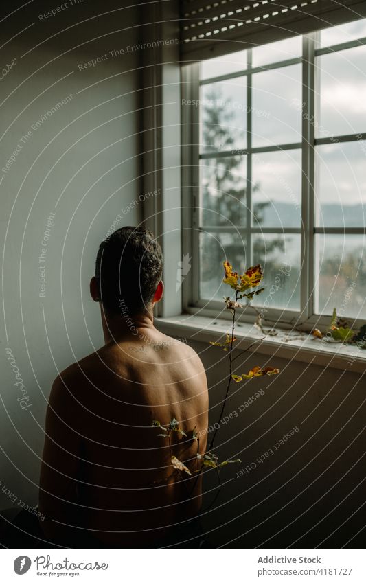 Unbekannter Mann ohne Hemd, der in der Nähe eines Pflanzenzweigs sitzt Zweig Melancholie Rücken Fenster merkwürdig kreativ Eiche ruhig Gelassenheit Windstille