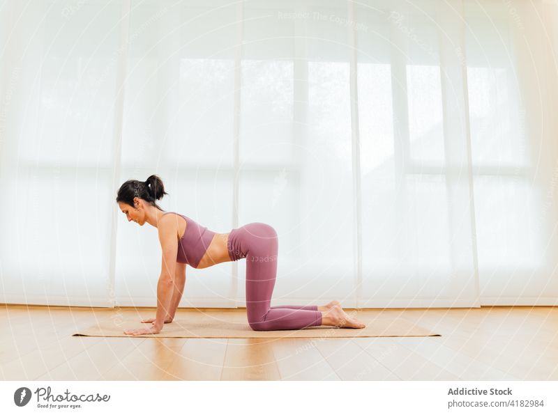 Frau in Boxposition mit angehobenen Beinen Yoga Asana Box-Pose Training meditieren Aufwärmen Gesundheit üben Wellness Wohlbefinden Energie Sportkleidung