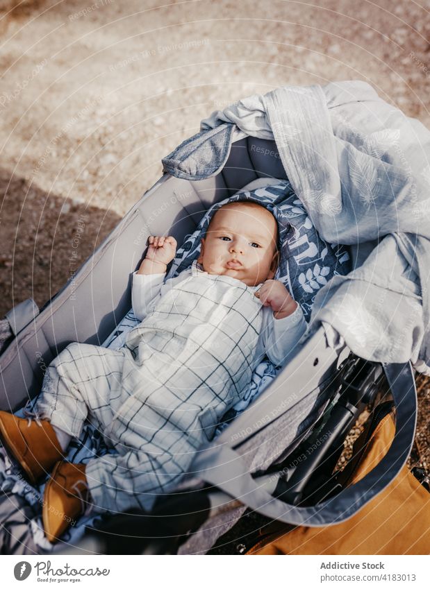 Kleines Baby im Wagen liegend im Park Kinderwagen Säugling wenig niedlich ernst Lügen Kindheit unschuldig Säuglingsalter Kinderbetreuung ruhen süß Windstille