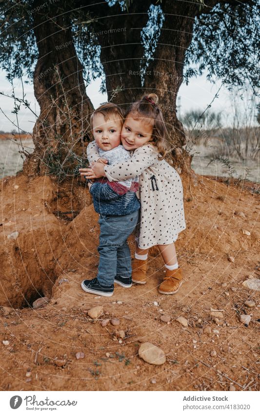 Niedliche Geschwister, die sich in der Nähe eines Baumes umarmen Geschwisterkind kuscheln wenig Bruder Schwester niedlich Liebe Zusammensein Wiese Natur