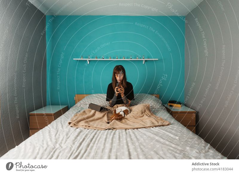 Frau mit Tee mit Tablette auf dem Bett in der Nähe von niedlichen Hund benutzend ruhen zuschauend Komfort Haustier Freund Gelassenheit sich[Akk] entspannen