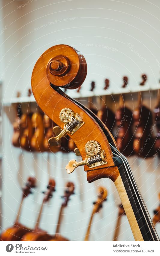Geigenschnecke vor einem Regal mit modernen Musikinstrumenten blättern Musical Instrument akustisch Sammlung klassisch Schnur Zapfen Melodie Klang professionell