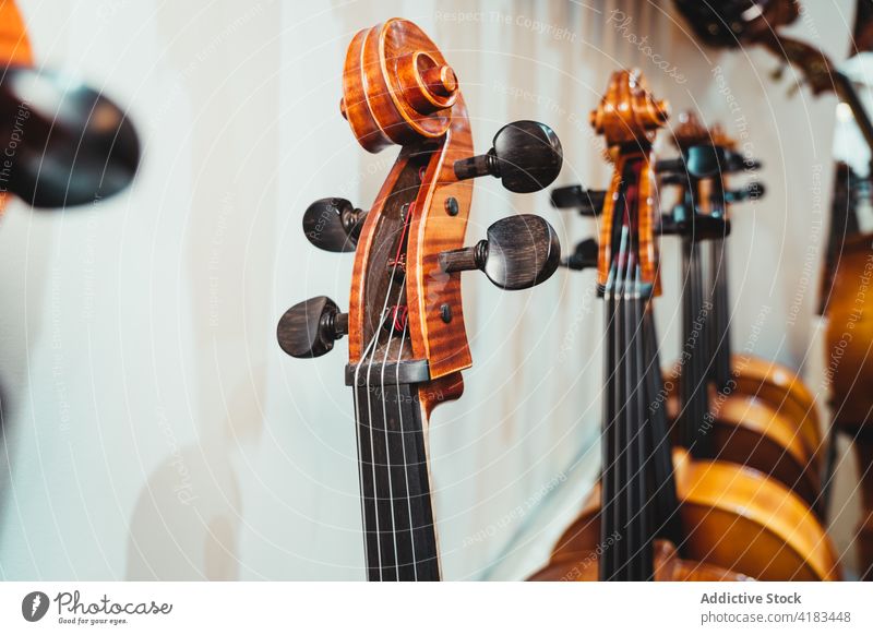 Geigenschnecke vor einem Regal mit modernen Musikinstrumenten blättern Musical Instrument akustisch Sammlung klassisch Schnur Zapfen Melodie Klang professionell