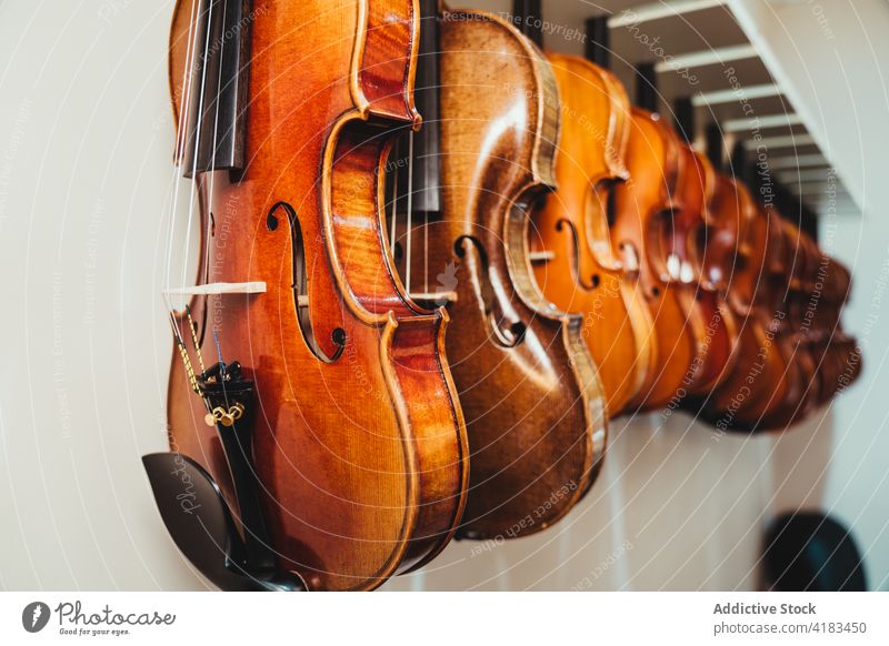 Regal mit Geigen in einem Musikinstrumentengeschäft Musical Sammlung Instrument akustisch Laden sortiert Ablage hängen Klang professionell dunkles Holz modern