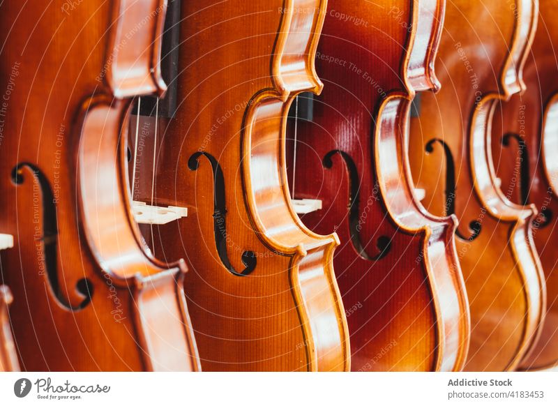 Regal mit Geigen in einem Musikinstrumentengeschäft Musical Sammlung Instrument akustisch Laden sortiert Ablage hängen Klang professionell dunkles Holz modern