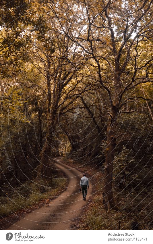 Mann mit Hund beim Spaziergang im düsteren Wald trist dumpf Herbst schlendern Tier Zusammensein männlich Weg Natur bedeckt Besitzer gehorsam Saison Wetter