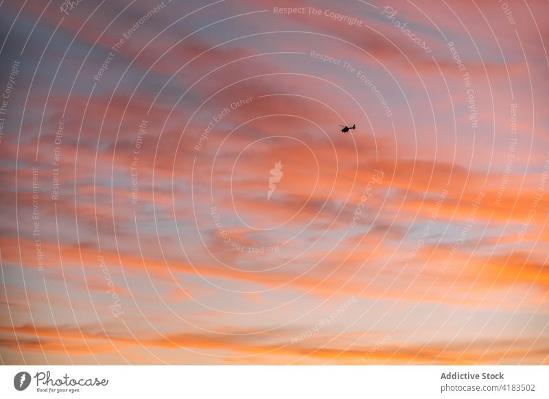 Hubschrauber gegen bunten Sonnenuntergang Himmel über der Stadt Fliege Silhouette lebhaft Großstadt Fluggerät Dämmerung hell Abenddämmerung idyllisch urban