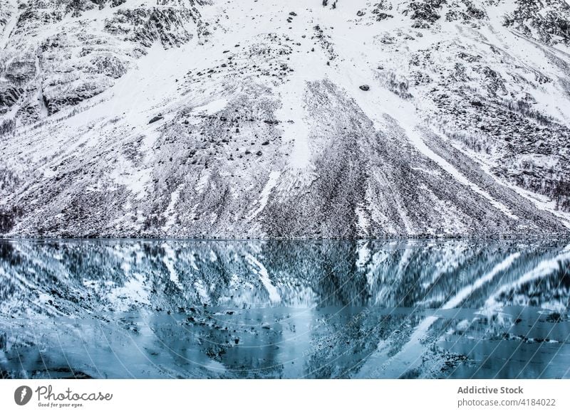 See vor einem Berghang im Winter Berge u. Gebirge Reflexion & Spiegelung Wasser Landschaft Schnee sanft Norwegen Oberfläche ruhig laublos Baum Umwelt friedlich