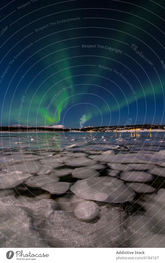 Nördlicher See bei NachtBlick auf den nördlichen blattlosen Wald im Winter unter sternenklarem wolkenlosen Himmel mit Polarlicht. Natur kalt Norden Stern