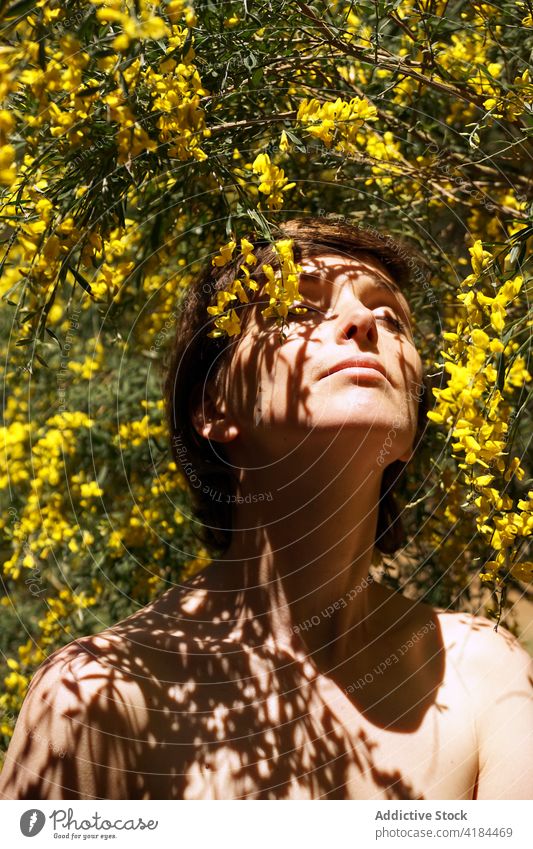 Verträumte Dame genießt den Duft eines blühenden Baumes mit geschlossenen Augen im Garten Frau Augen geschlossen sich[Akk] entspannen Blütezeit genießen riechen