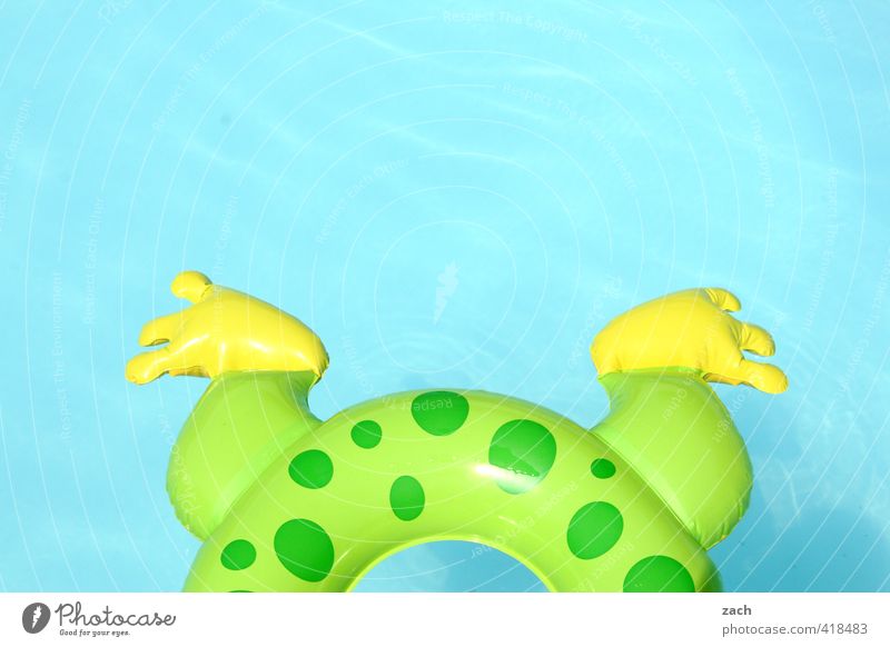 Froschschenkel Freude Schwimmen & Baden Spielen Ferien & Urlaub & Reisen Wassersport Beine Fuß Badeente Erholung tauchen rund blau grün Kindheit Lebensfreude
