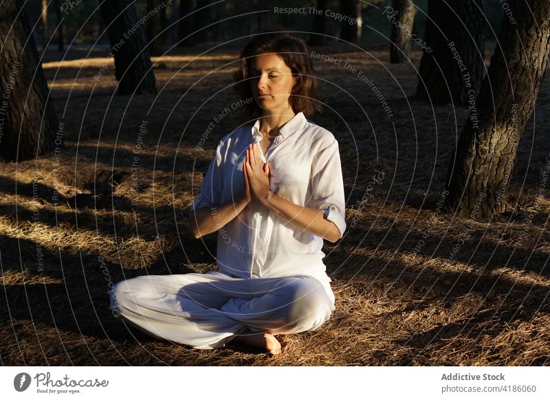 Entspannte junge Frau mit Mudra-Händen meditiert in Padmasana-Pose im Park meditieren padmasana Lotus-Pose Yoga Wald Erholung sich[Akk] entspannen