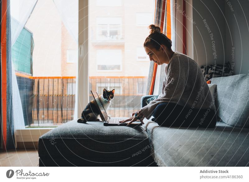 Bildausschnitt einer jungen Frau, die mit ihrem Netbook online arbeitet, während sie mit ihrer Katze auf dem Sofa sitzt Arbeit Laptop abgelegen Kattun