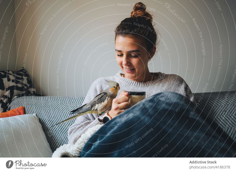 Positive junge Frau chillt auf der Couch mit niedlichem Webervogel sich[Akk] entspannen Sofa Glück Zusammensein Heißgetränk Nymphensittich Besitzer Freizeit