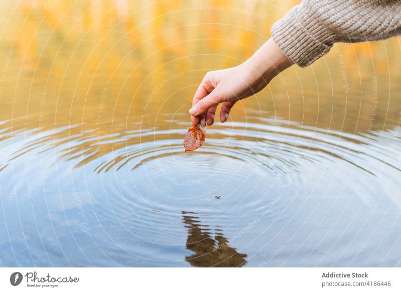 Ausschnitt Reisender zeigt verblasstes Blatt über gekräuselten See Reflexion & Spiegelung Herbst Natur Rippeln Ausflug verblüht Frau Wasser kreisen zeigen