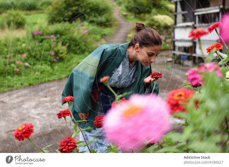 Junge Reisende in einem Kimono riecht an Blumen in einem traditionellen japanischen Dorf 30s jung Kaukasier Frau Japan riechen flo