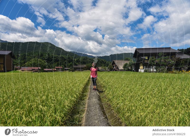 Junge Reisende in Shirakawago, einem historischen japanischen Dorf 30s jung Kaukasier Frau Japan Feld